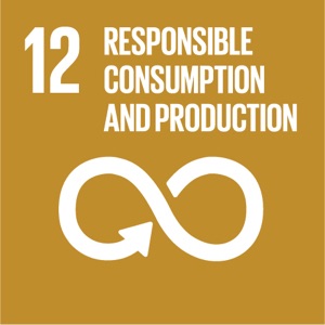 UN Sustainable Development Goal 12: Responsible Consumption and Production