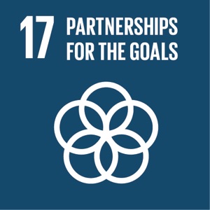 UN Sustainable Development Goal 17: Partnerships for the Goals