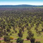 Yarra Yarra Biodiversity